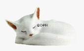White Cat figurine, produced by Royal Copenhagen