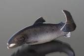 Salmon Trout, Bing & Grondahl fish figurine