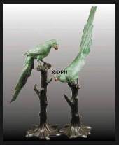 Parrot on branch - head up