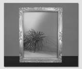 Mirror, silver