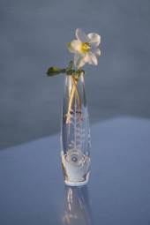 Glas vase solitare med mussel relief, klar, produceret af Royal Copenhagen