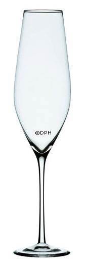 Holmegaard Cabernet champagne glass, capacity 32 cl.
