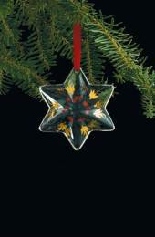 Annual Crystal Star 