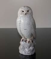 Snow Owl by Dahl Jensen