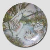 Bradex plate in the series
