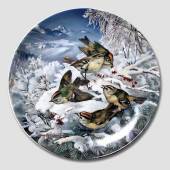 Hutschenreuter, Plate in serie Winterbirds