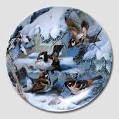 Hutschenreuter, Plate in serie Winterbirds