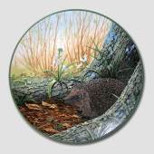 Plate in the series