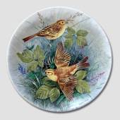 Plate in the series 