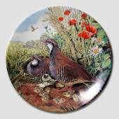 Plate in the series