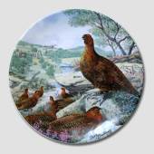 Plate in the series