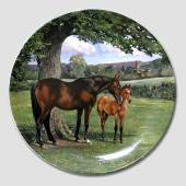 Plate in the series
