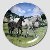 Plate in the series 