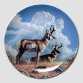 Dominion, Plate in the series