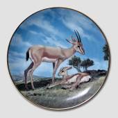 W S George, Plate,