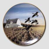 W S George, Platte, V�dfugle i Naturen