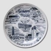 Plate with Kastrup motif