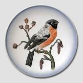 Hummel plate, Wild Birds, Robin no. 4