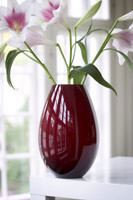 Holmegaard-Cocoon-vase.jpg