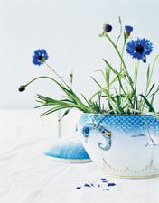 rc_seagull_tureen_flowers.jpg