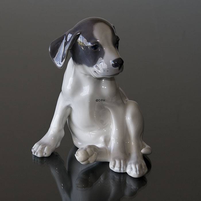 Smooth-haired Terrier sitting looking funny, Royal Copenhagen dog ...