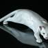 Creeping cat, Royal Copenhagen figurine no. 473 | No. 1020059 | Alt. R473 | DPH Trading