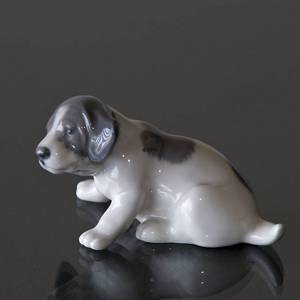 Pointer Puppy, Royal Copenhagen figurine no. 1311 | No. 1020096 | Alt. R1311 | DPH Trading