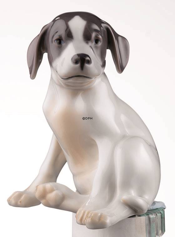 Pointer Puppy, Royal Copenhagen dog figurine | No. 1020206 | Alt. r206 ...