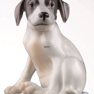 Pointer Puppy, Royal Copenhagen dog figurine | No. 1020206 | Alt. r206 | DPH Trading