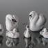 Cygnet stretching, Royal Copenhagen bird figurine | No. 1020361 | Alt. R361 | DPH Trading