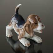 Beagle, Bing & Grondahl dog figurine no. 2564