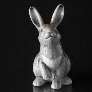 Royal Copenhagen Annual Figurine 2019, Rabbit | Year 2019 | No. 1027170 | Alt. 1252004 | DPH Trading