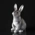 Royal Copenhagen Annual Figurine 2019, Rabbit | Year 2019 | No. 1027170 | Alt. 1252004 | DPH Trading