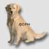 Golden Retriever, Royal Copenhagen dog figurine | No. 1244039 | Alt. 1244039 | DPH Trading