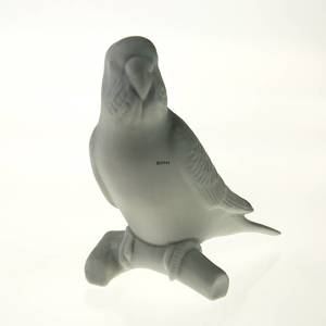 Budgerigar, parakeet in white, Royal Copenhagen bird figurine | No. 2670457 | DPH Trading