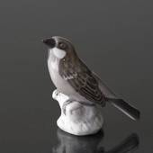 Sparrow looking up at the sky, Bing & Grondahl bird figurine No. 1888