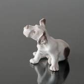 Sealyham Terrier looking up, Bing & Grondahl dog figurine No. 2028