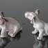 Sealyham Terrier looking up, Bing & Grondahl dog figurine No. 2028 | No. B2028 | DPH Trading