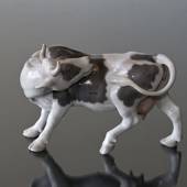 Cow licking its back, Bing & Grondahl figurine no. 1020446 / 2161