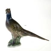 Pheasant rooster standing tall, figurine Bing & Grondahl, bird figurine No....