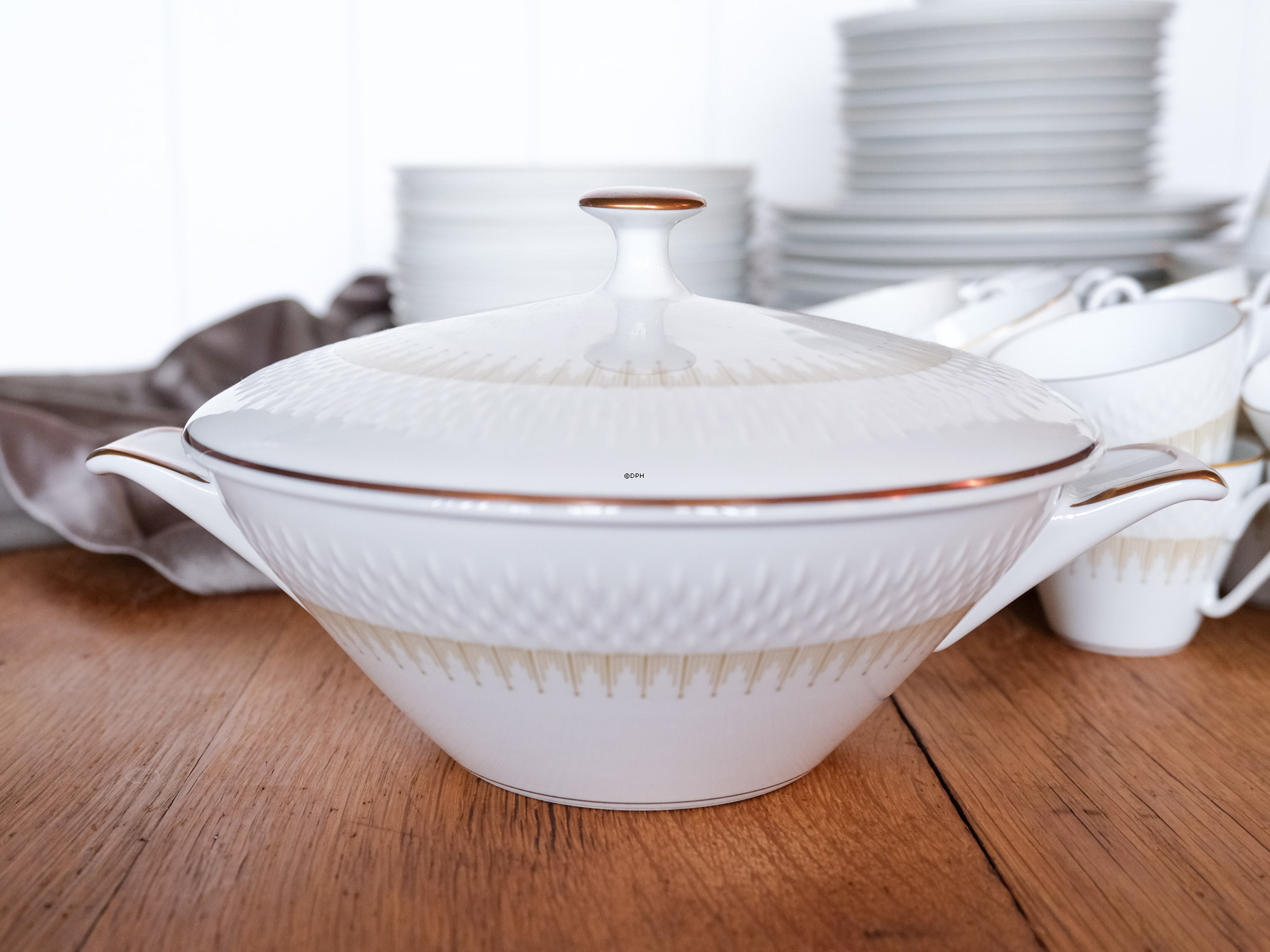 Bavaria Marcelisborg dinnerware (set- totally 55 piecest)