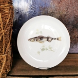 Fish Plates, Set of 9 Pcs (Used)