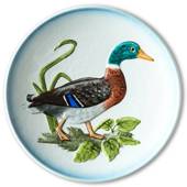 Hummel Goebel Wildlife plate with bird, Mallard duck
