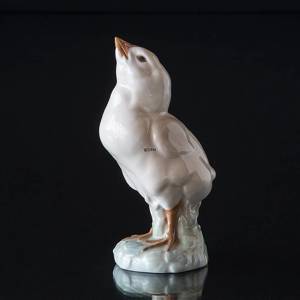 Turkey Chicken, Royal Copenhagen bird figurine No. 1185 | No. R1185 | DPH Trading