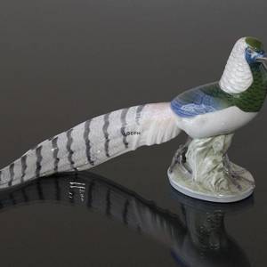 Pheasant in bright colours with long tail, Royal Copenhagen bird figurine No. 1881 | No. R1881 | DPH Trading