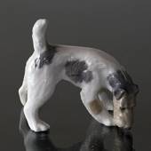 Wirehaired terrier sniffing the ground, Royal Copenhagen dog figurine No. 3...