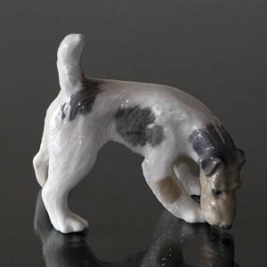 Wirehaired terrier sniffing the ground, Royal Copenhagen dog figurine No. 3020 | No. R3020 | DPH Trading