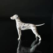 Dalmatian, Royal Copenhagen dog figurine No. 3501