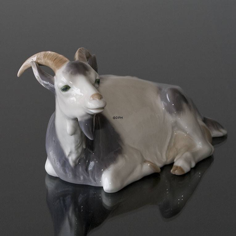 goat royal 1