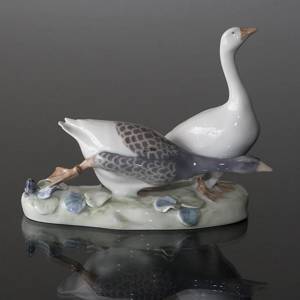 Group of Geese, two Geese, Royal Copenhagen figurine No. 609 | No. R609 | DPH Trading